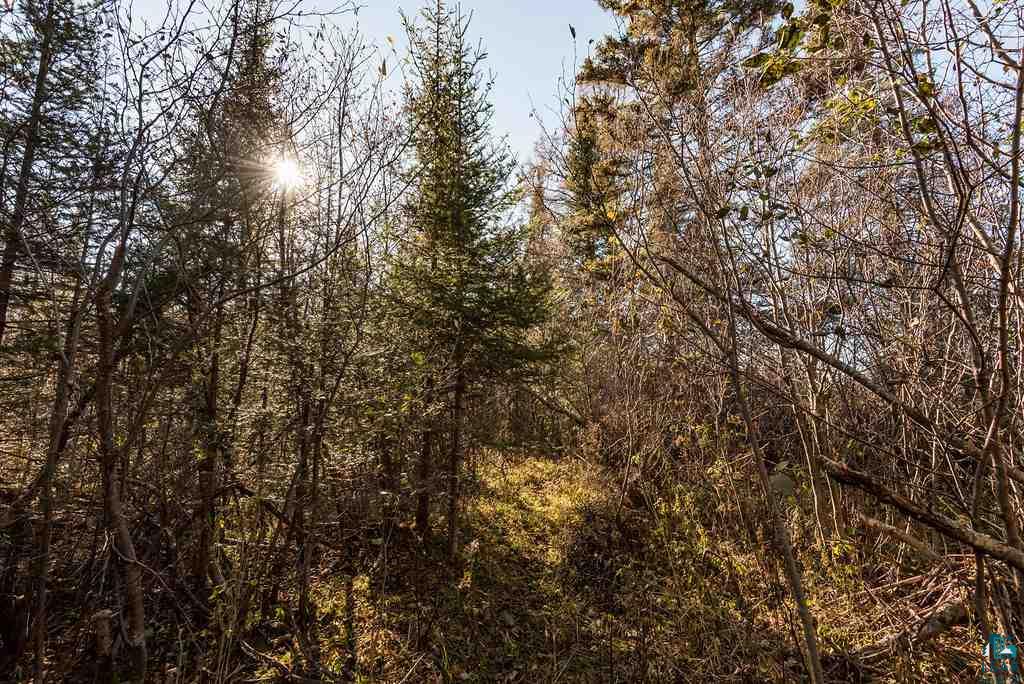 12 Two Harbors Two Harbors, MN 55616 - Photo 4 of 17