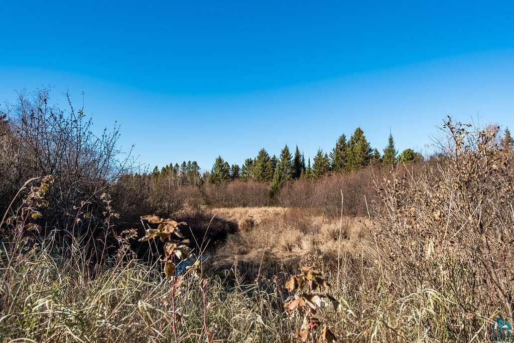 12 Two Harbors Two Harbors, MN 55616 - Photo 6 of 17