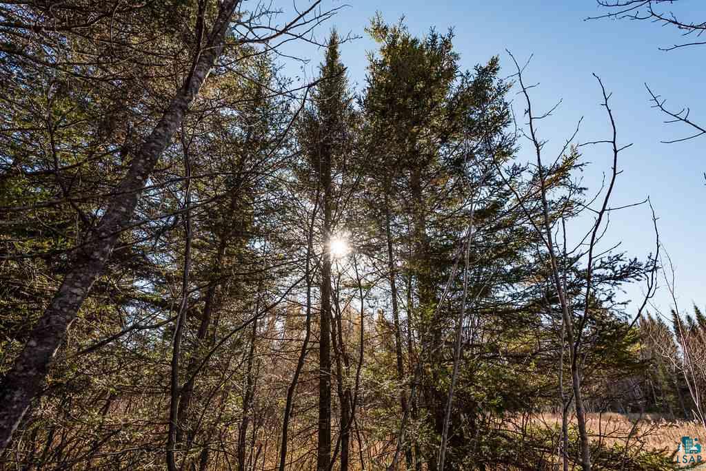 12 Two Harbors Two Harbors, MN 55616 - Photo 7 of 17