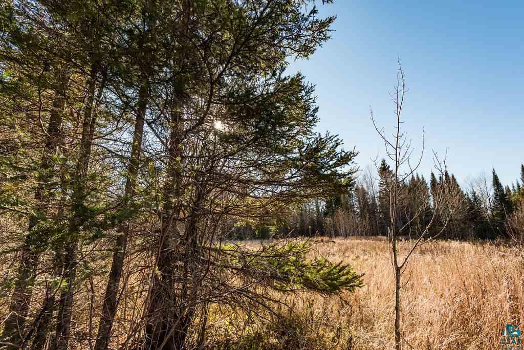 12 Two Harbors Two Harbors, MN 55616 - Photo 8 of 17