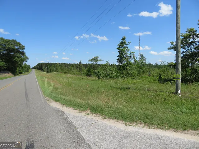 a view of a yard with palm trees