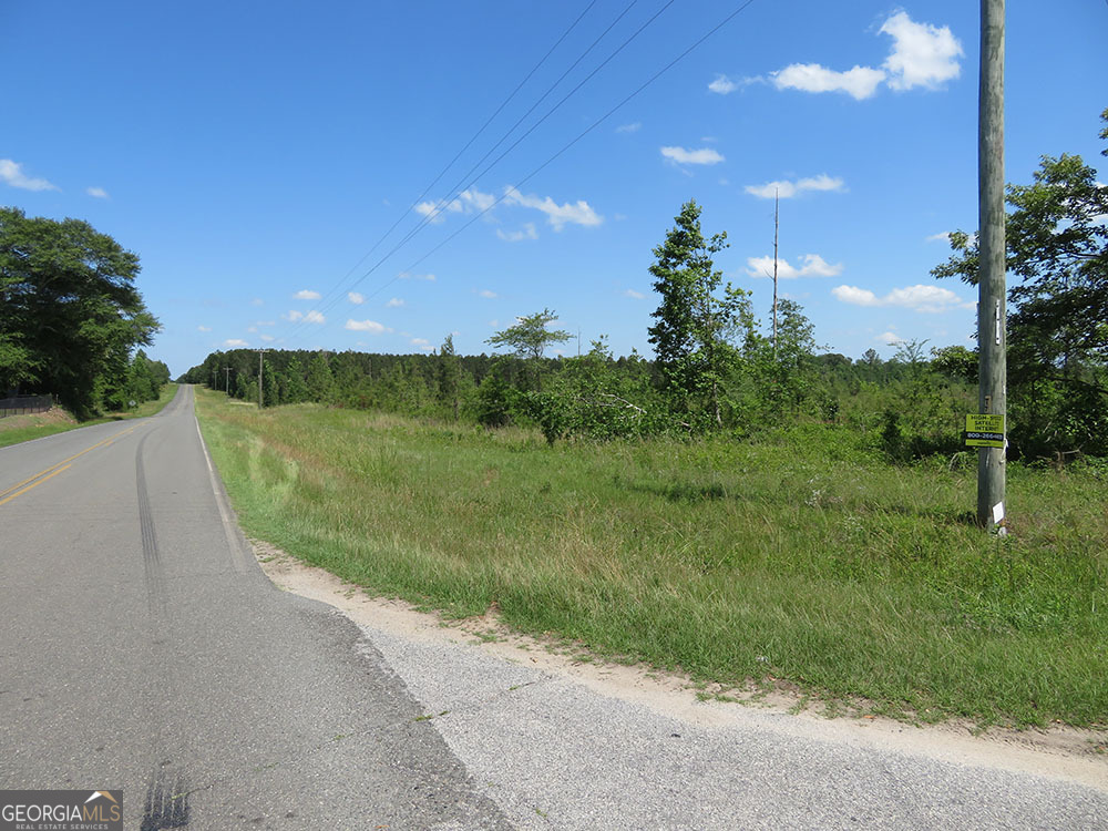 1 Goolsby Road Ellaville, GA 31806 - Photo 5 of 7 a view of a yard with palm trees