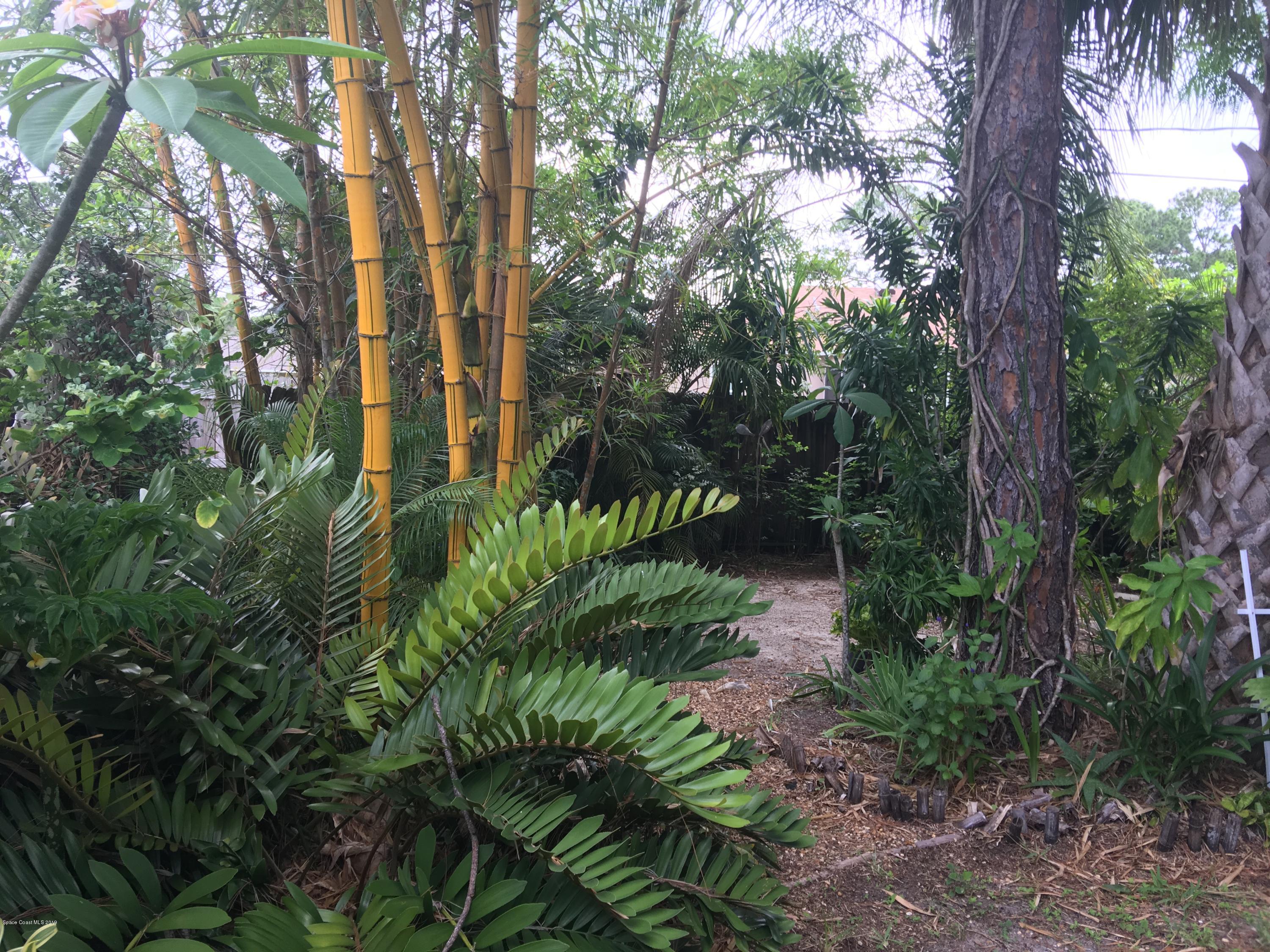 170 Santa Rosa Avenue Southwest Palm Bay, FL 32908 - Photo 27 of 32 Backyard