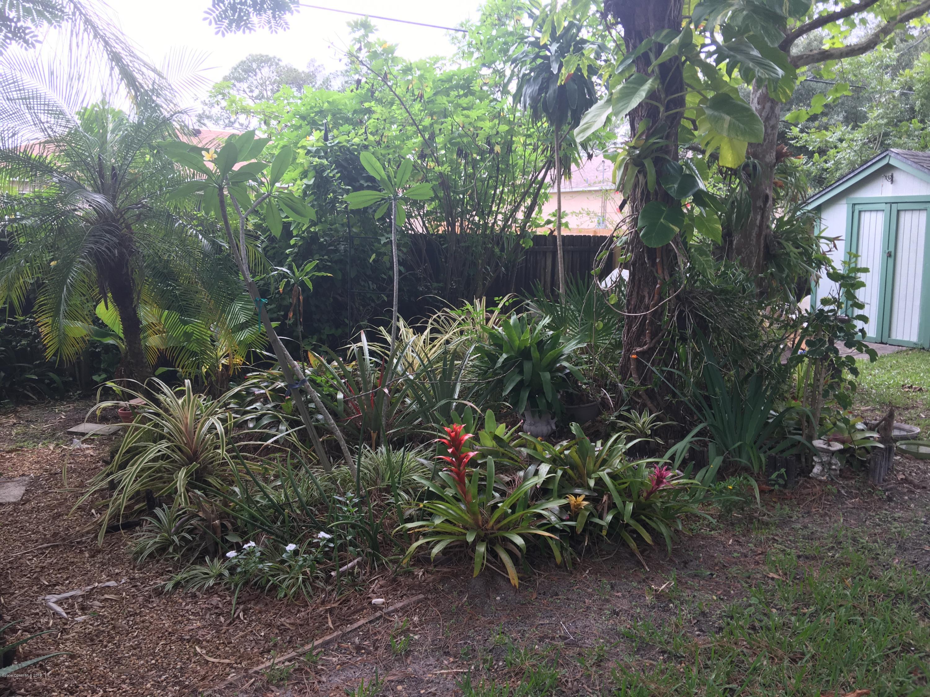 170 Santa Rosa Avenue Southwest Palm Bay, FL 32908 - Photo 28 of 32 Beautiful yard