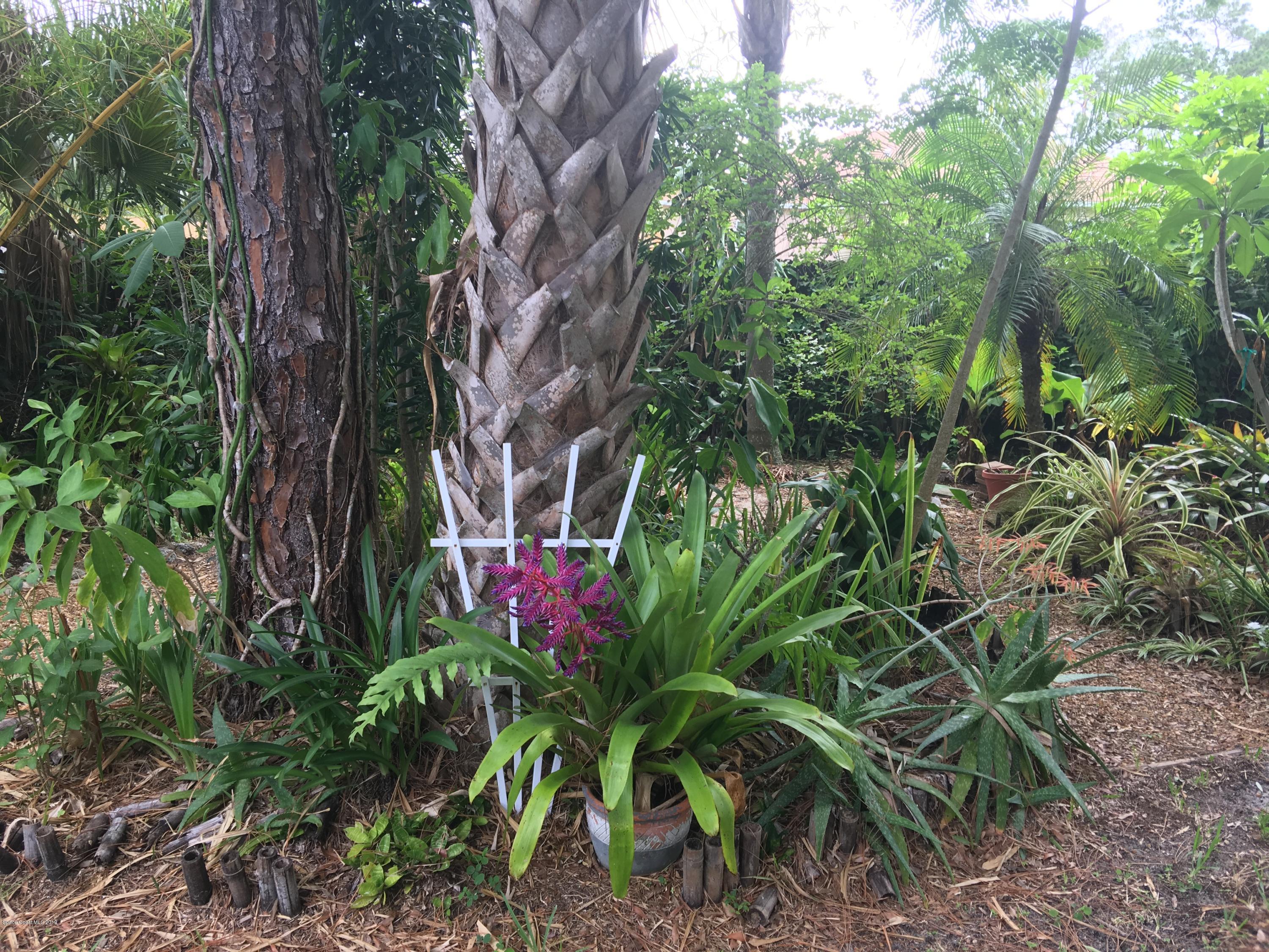 170 Santa Rosa Avenue Southwest Palm Bay, FL 32908 - Photo 30 of 32 Nice landscaping