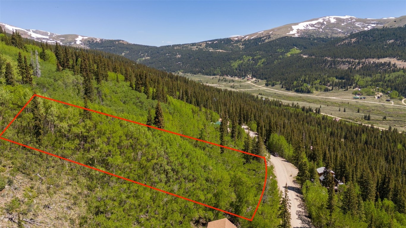 a view of a lush green hillside and a mountain