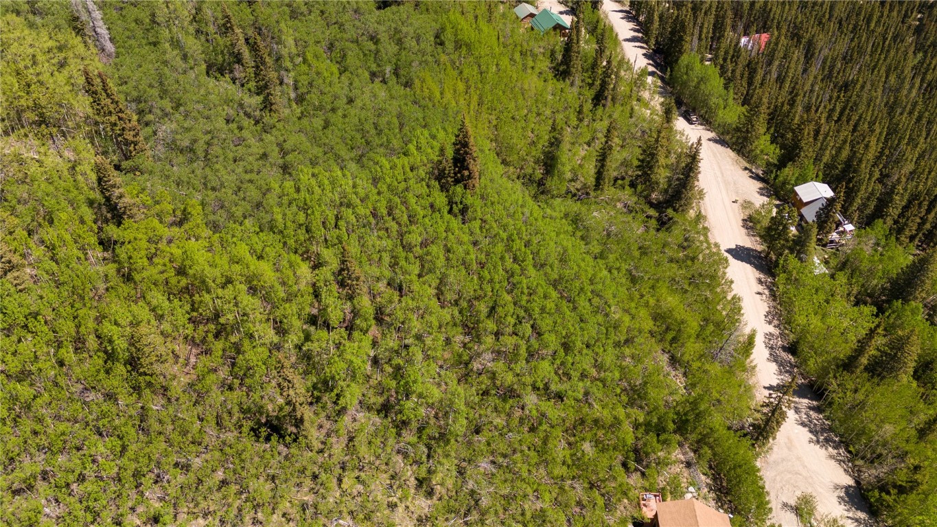 1255 Quartzville Road Alma, CO 80420 - Photo 6 of 10 a view of a tree