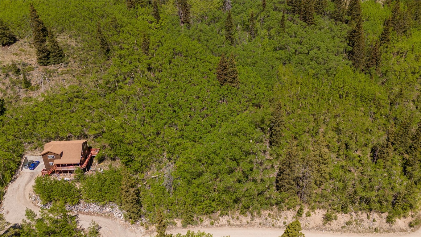 1255 Quartzville Road Alma, CO 80420 - Photo 7 of 10 a view of a yard with plants