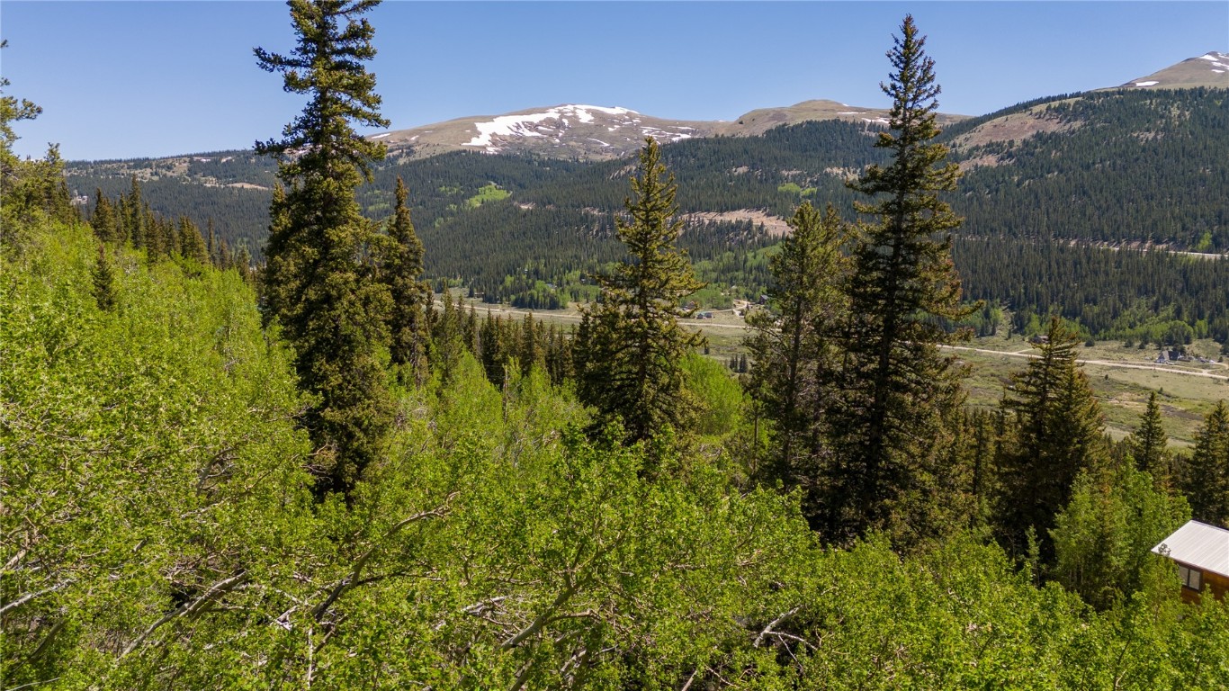 1255 Quartzville Road Alma, CO 80420 - Photo 8 of 10