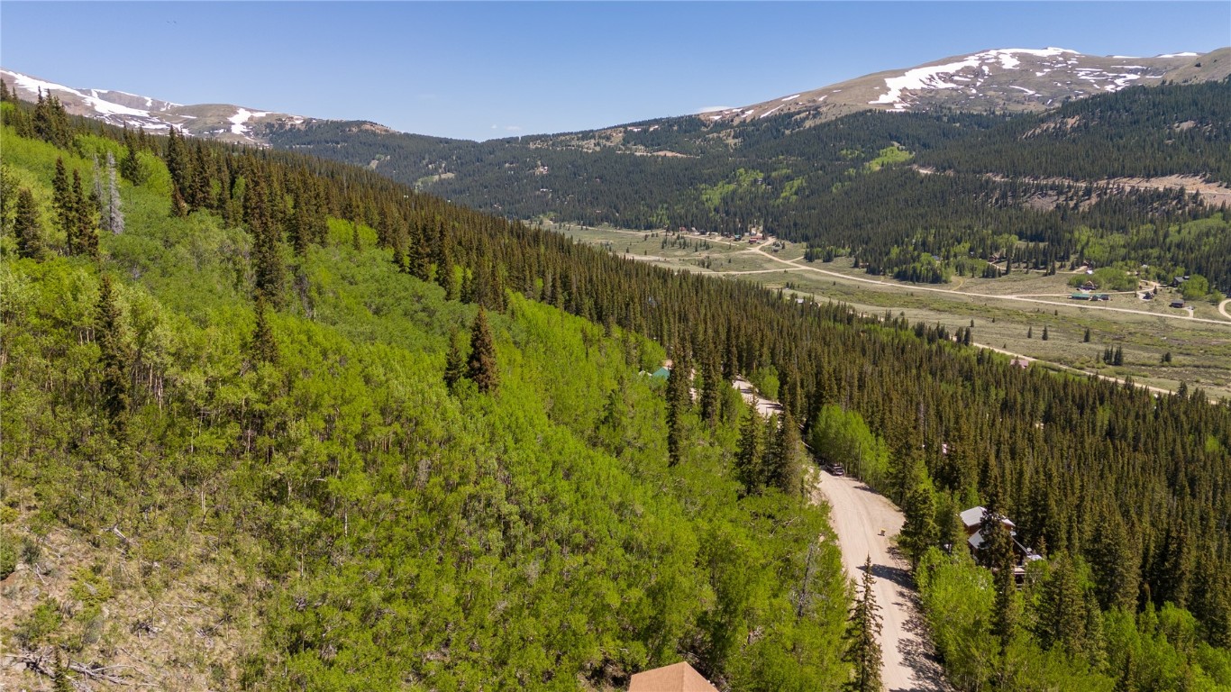 1255 Quartzville Road Alma, CO 80420 - Photo 10 of 10 a view of mountain view with mountains in the background