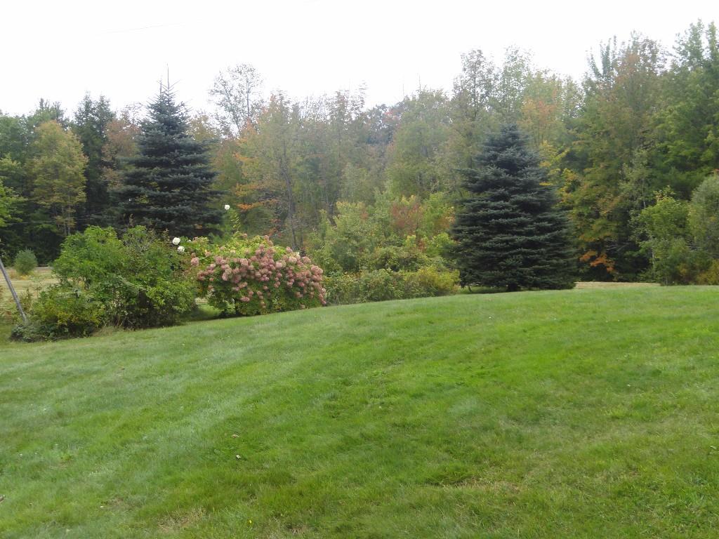 641 Mill Hill Road Waterford, ME 04088 - Photo 21 of 32 Back yard of house