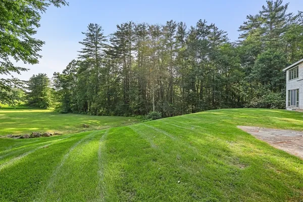 a view of a grassy field with trees