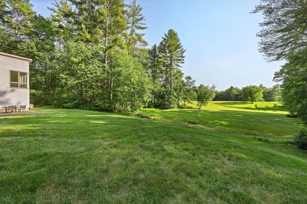 a view of a grassy field with trees