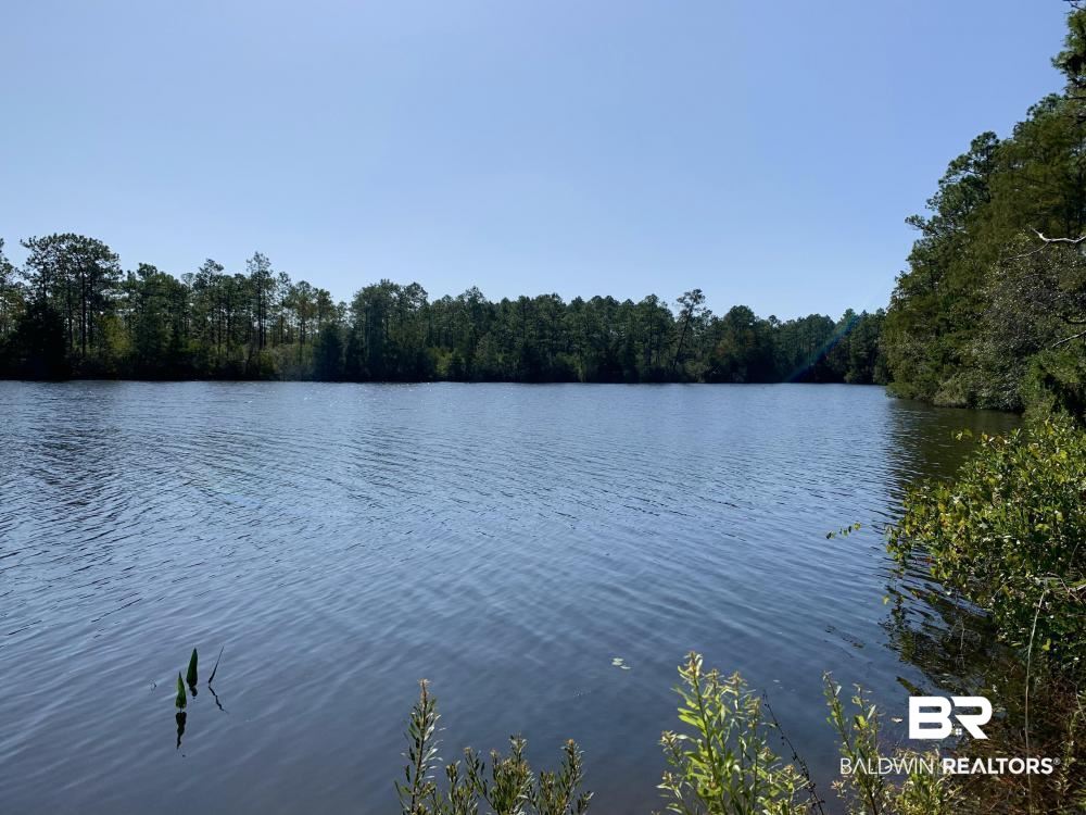 0 Three 3 Rivers Road Seminole, AL 36574 - Photo 13 of 27