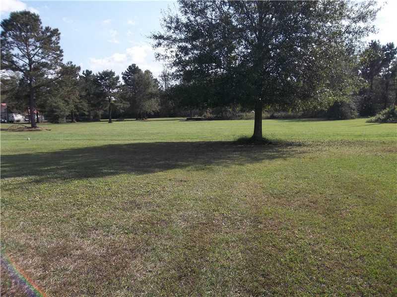 42581 Pleasant Ridge Extension Ponchatoula, LA 70454 - Photo 5 of 13 Gallery Image 5
