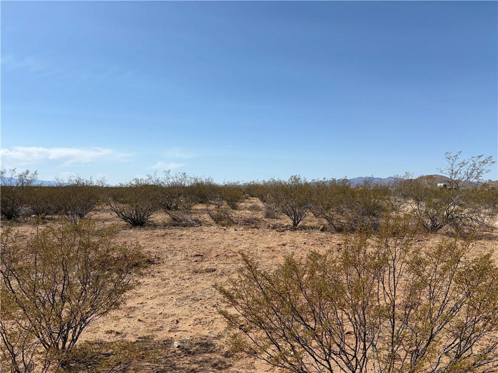 N/a South Mormon Flt Road Golden Valley, AZ 86413 - Photo 6 of 6 View of local wilderness featuring rural landscape