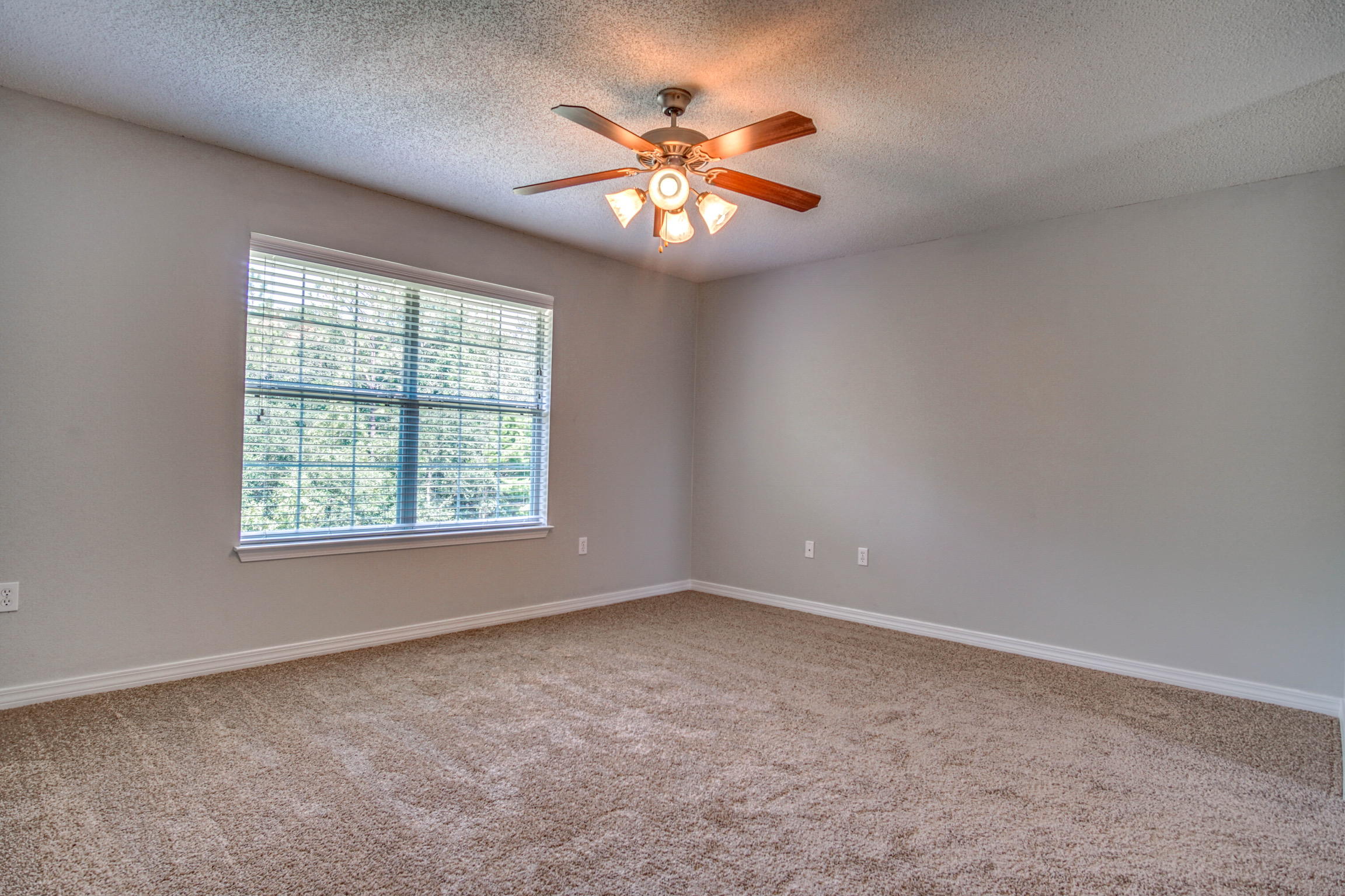 412 Plate Drive Crestview, FL 32539 - Photo 16 of 25 an empty room with windows and chandelier fan