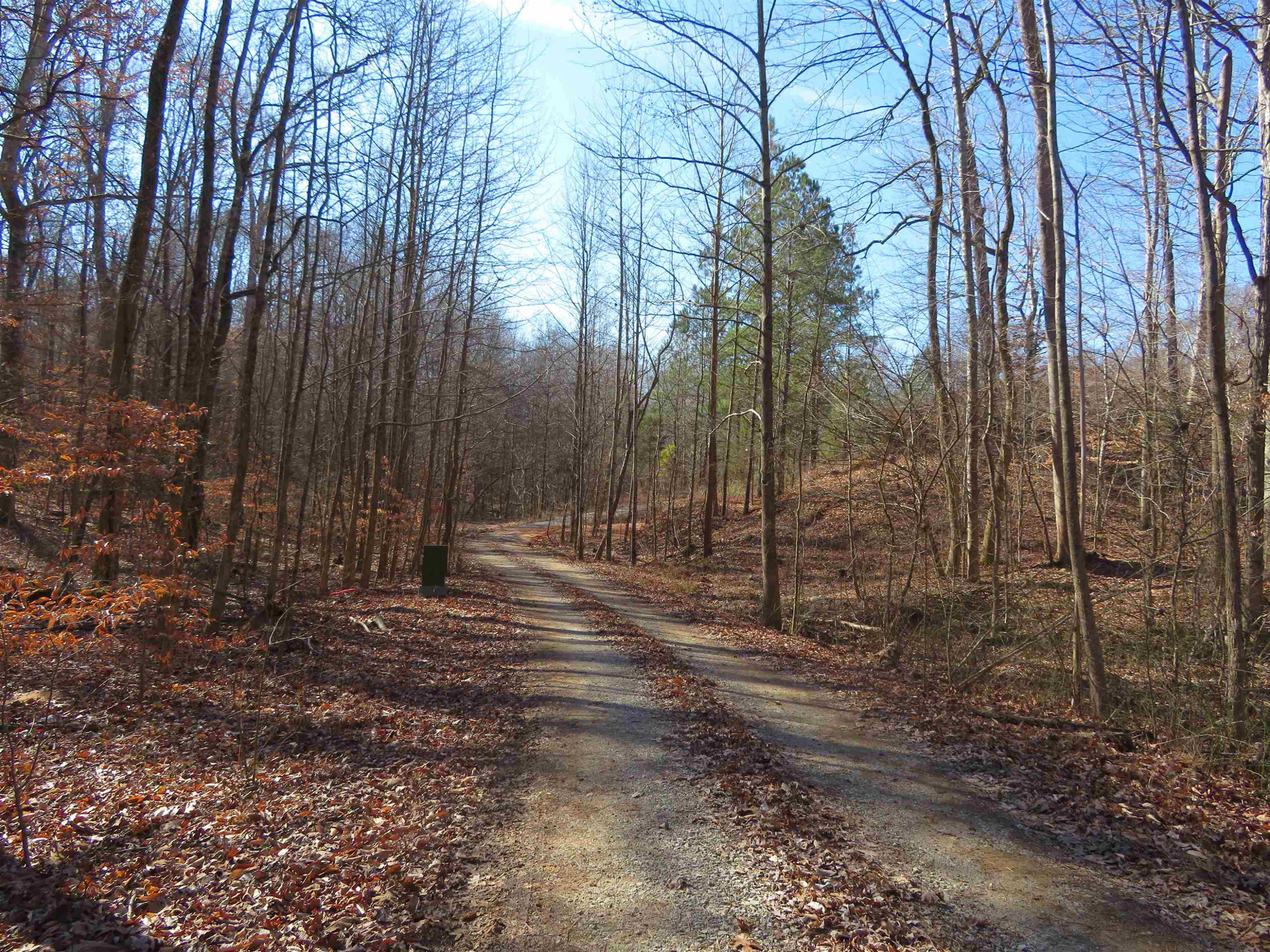 737 Potts Chapel Road Jackson, TN 38305 - Photo 1 of 31 a view of a backyard with trees