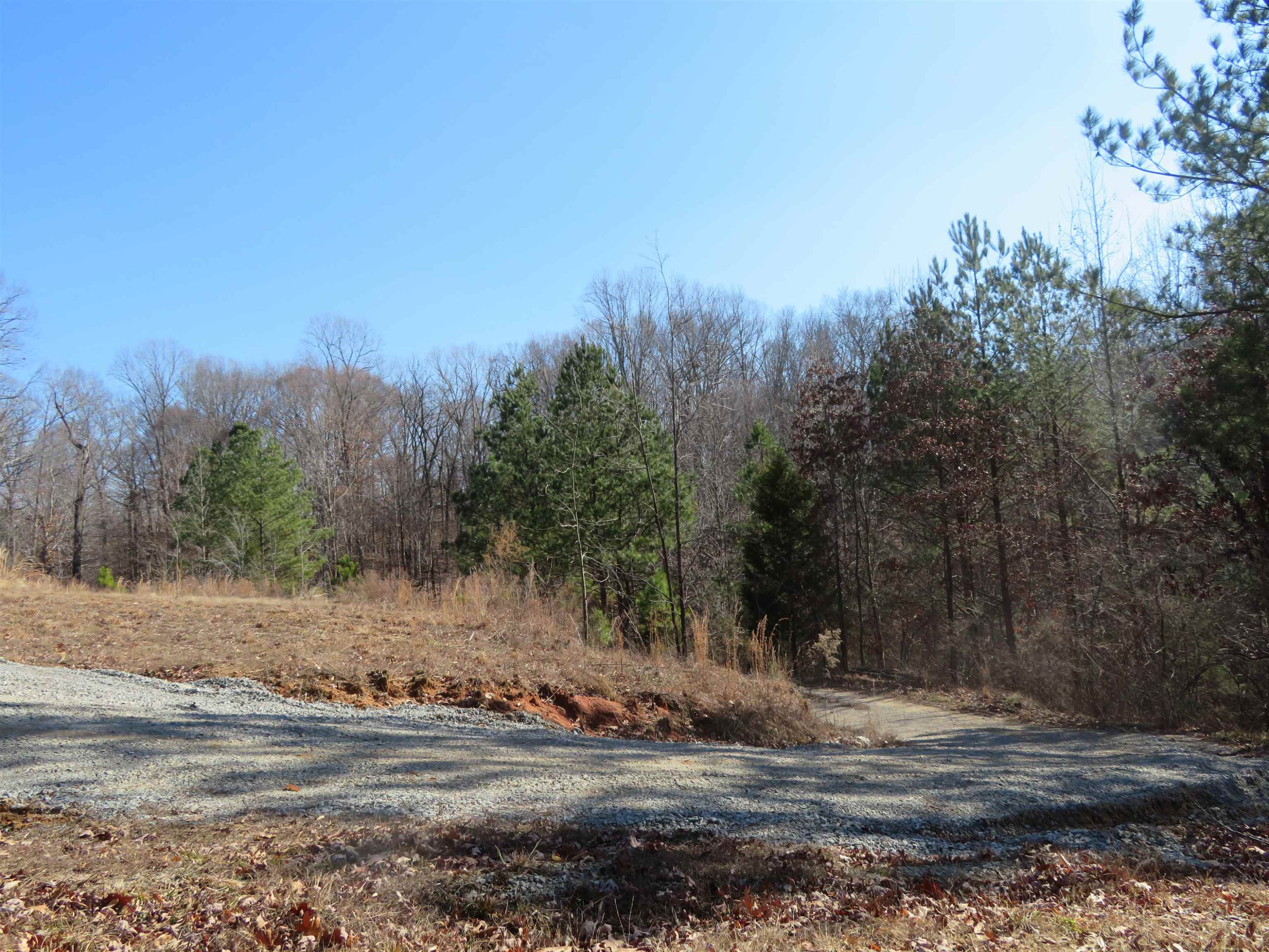 737 Potts Chapel Road Jackson, TN 38305 - Photo 2 of 31 a view of a backyard of a house