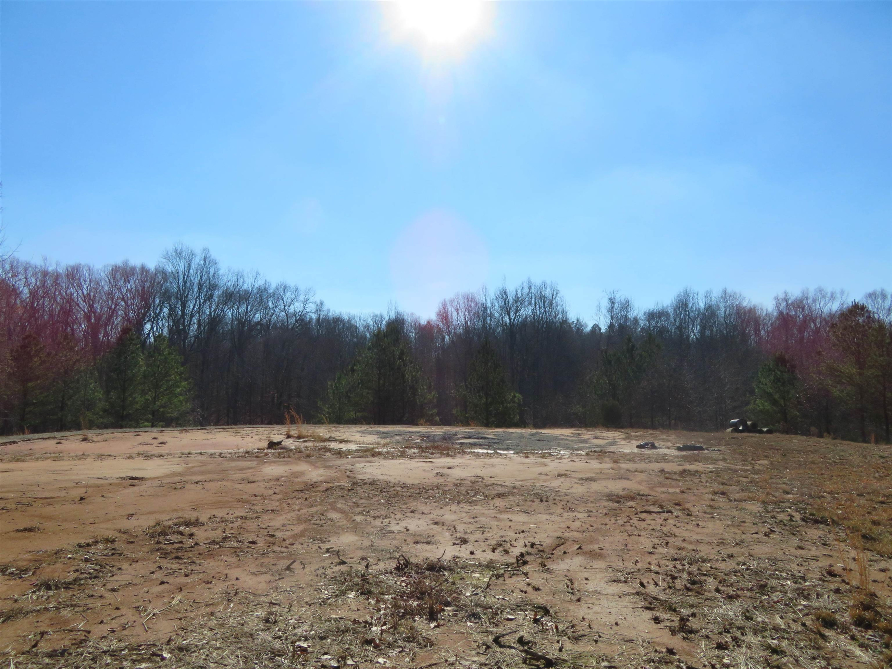 737 Potts Chapel Road Jackson, TN 38305 - Photo 7 of 31 a view of outdoor space with trees