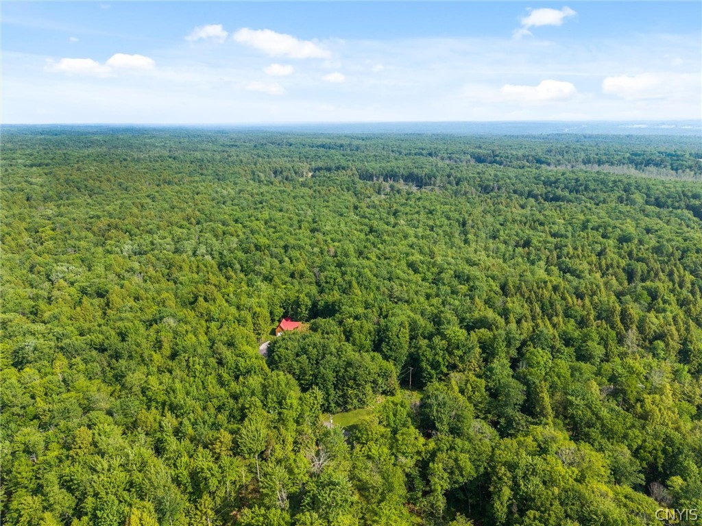 9831 Steam Mill Road Camden, NY 13316 - Photo 40 of 42 Endless possibilities for hobby farming or outdoor