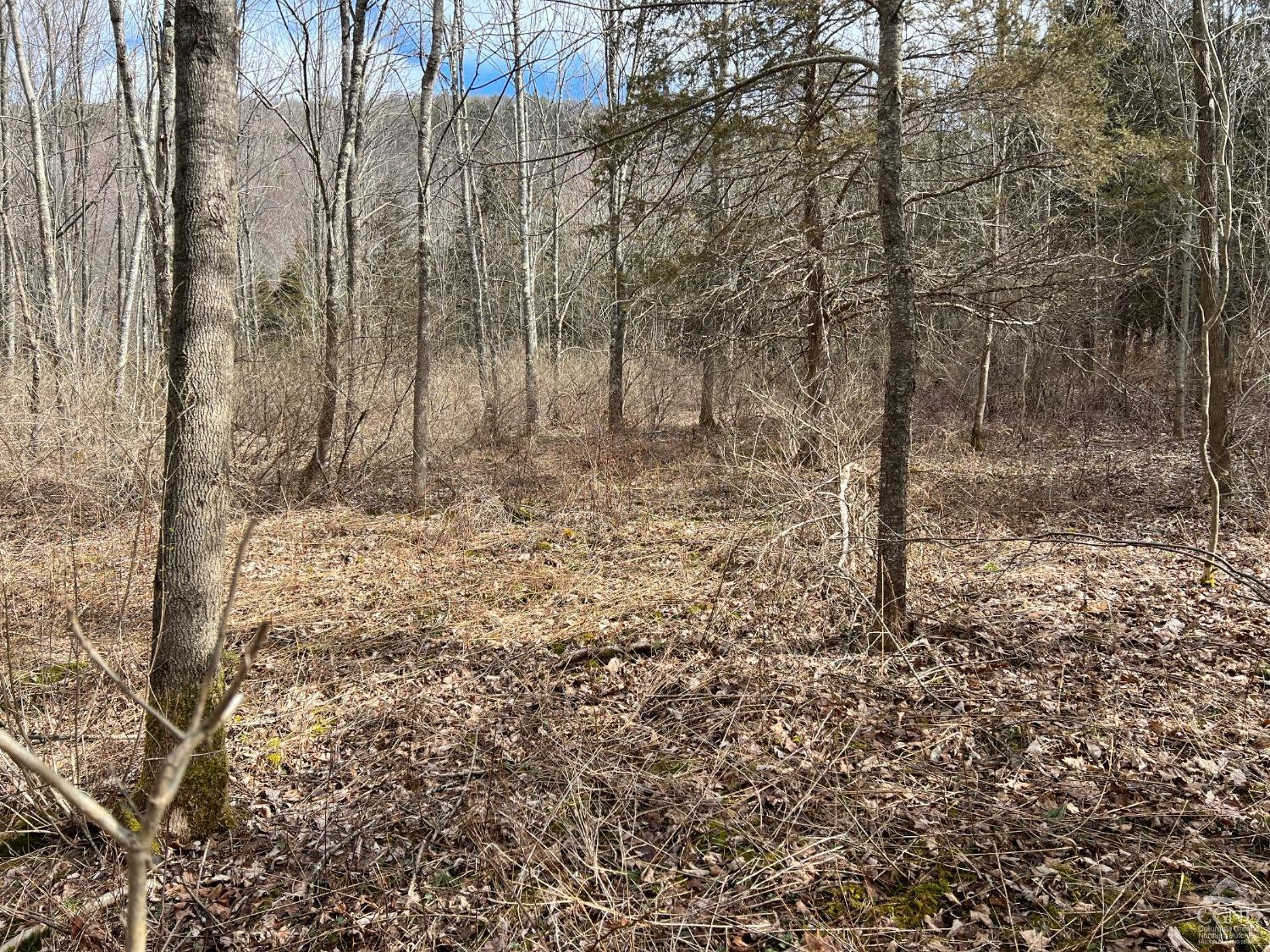 0 Route 23a Road Prattsville, NY 12468 - Photo 15 of 18 Photo 14