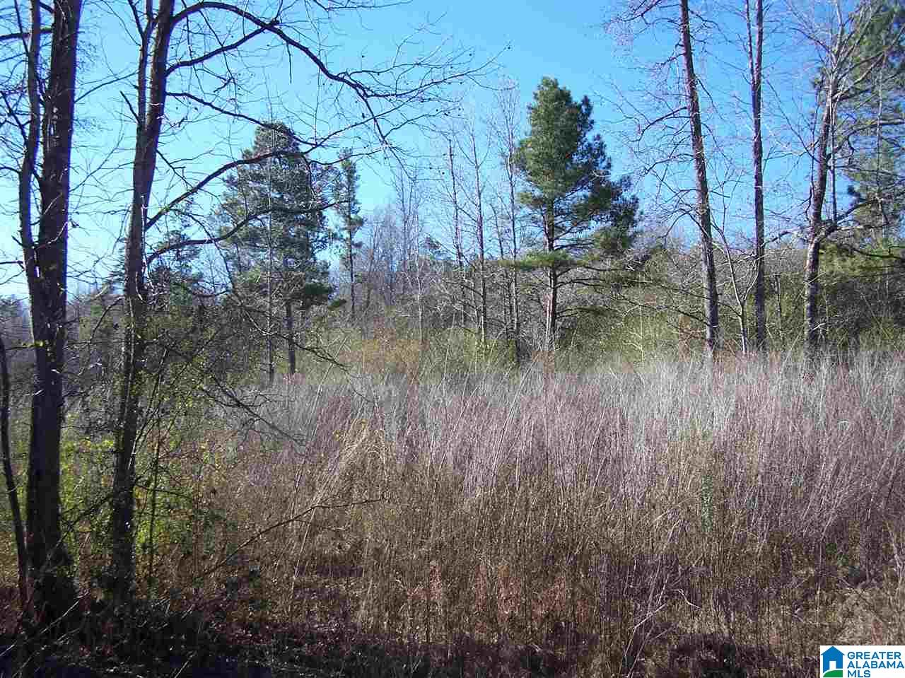4136 Powder Mill Road Mount Olive, AL 35117 - Photo 2 of 10