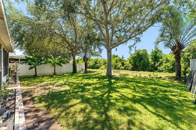 a view of a yard with a tree