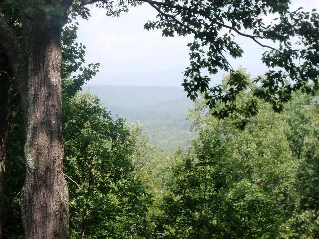 1137 West Outer Drive Oak Ridge, TN 37830 - Photo 28 of 31 view