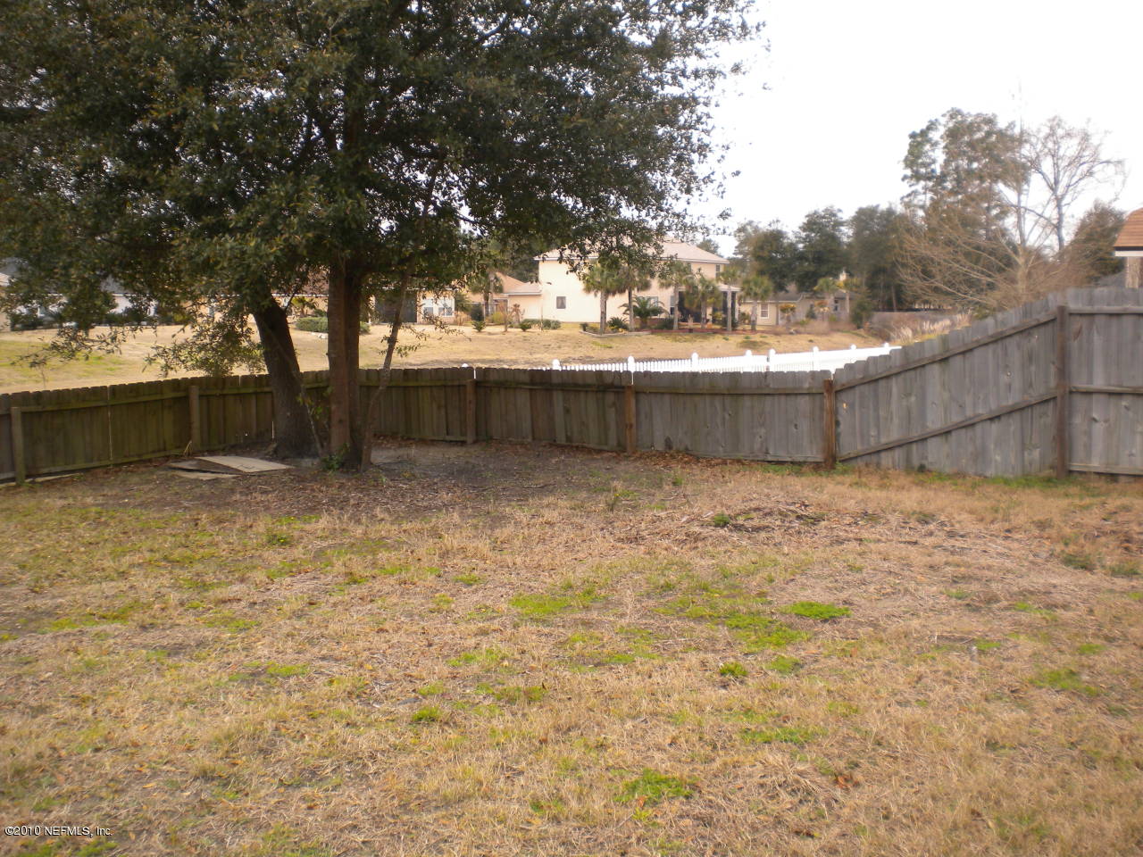 846 Pine Moss Road Jacksonville, FL 32218 - Photo 13 of 29 BACK YARD 2