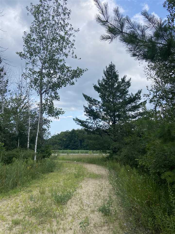 0 North Flajole Road Rhodes, MI 48652 - Photo 14 of 16