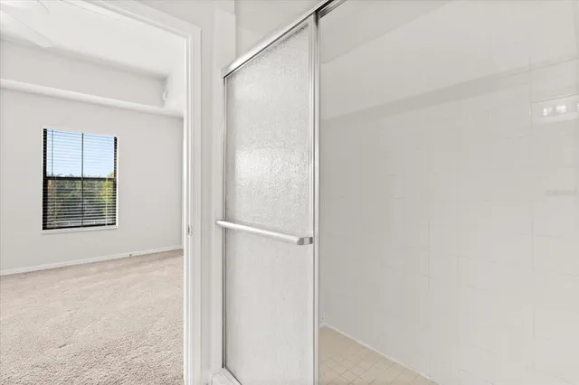 a bathroom with a shower and a window