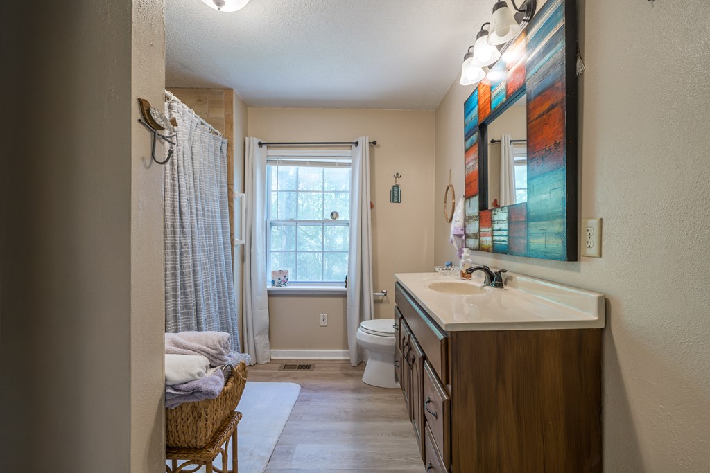1813 John Smith Road East Blairsville, GA 30512 - Photo 22 of 41 a bathroom with a sink a toilet and a mirror