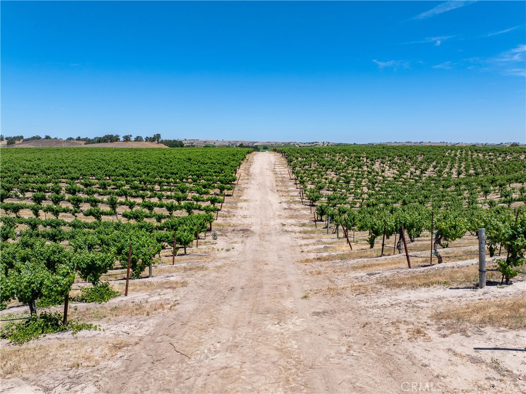 5275 Camp 8 Road Paso Robles, CA 93446 - Photo 18 of 32 a view of a pathway with a yard