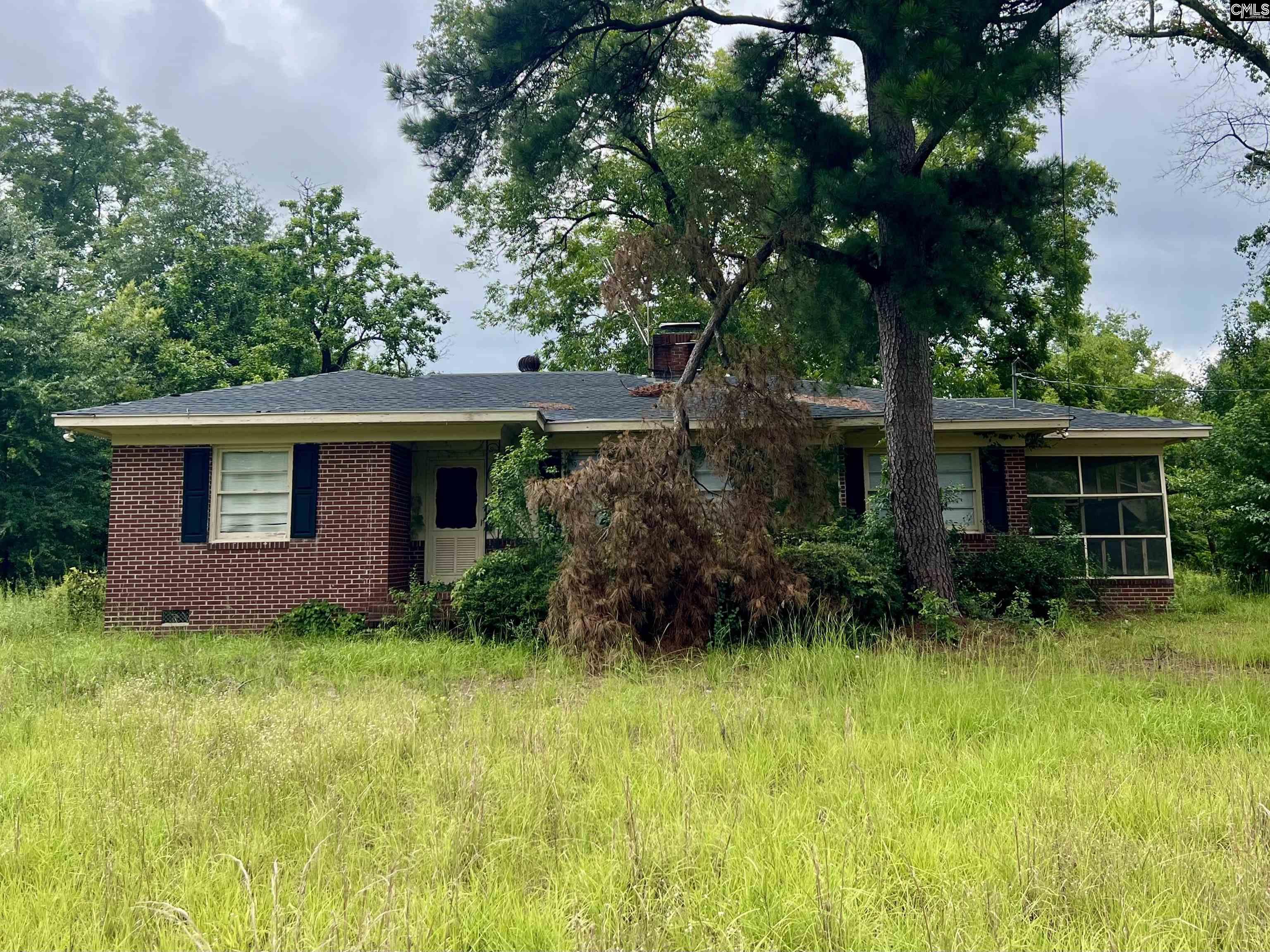 249 East Richards Street Denmark, SC 29042 - Photo 1 of 10