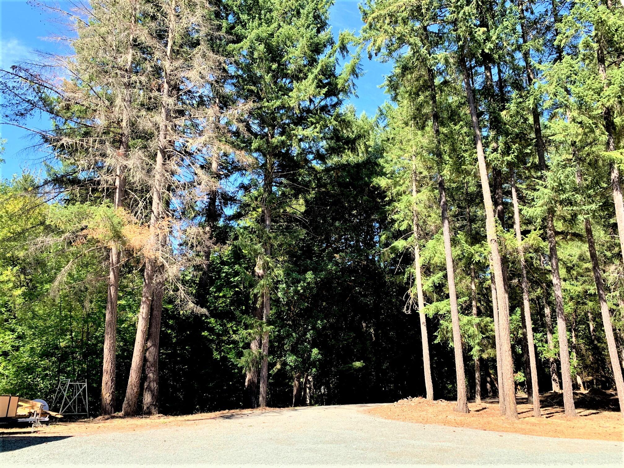 2793 Pleasant Creek Road Rogue River, OR 97537 - Photo 38 of 39 Driveway look back toward Pleasant Creek Road