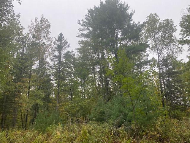 37 Kennebec River Road Embden, ME 04958 - Photo 3 of 4 IMG_7682