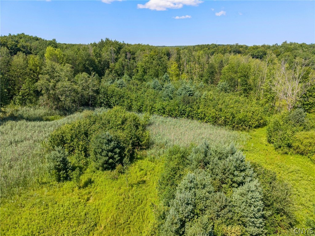 210 Goodfellow Road Palermo, NY 13069 - Photo 8 of 9 Gallery Image 8