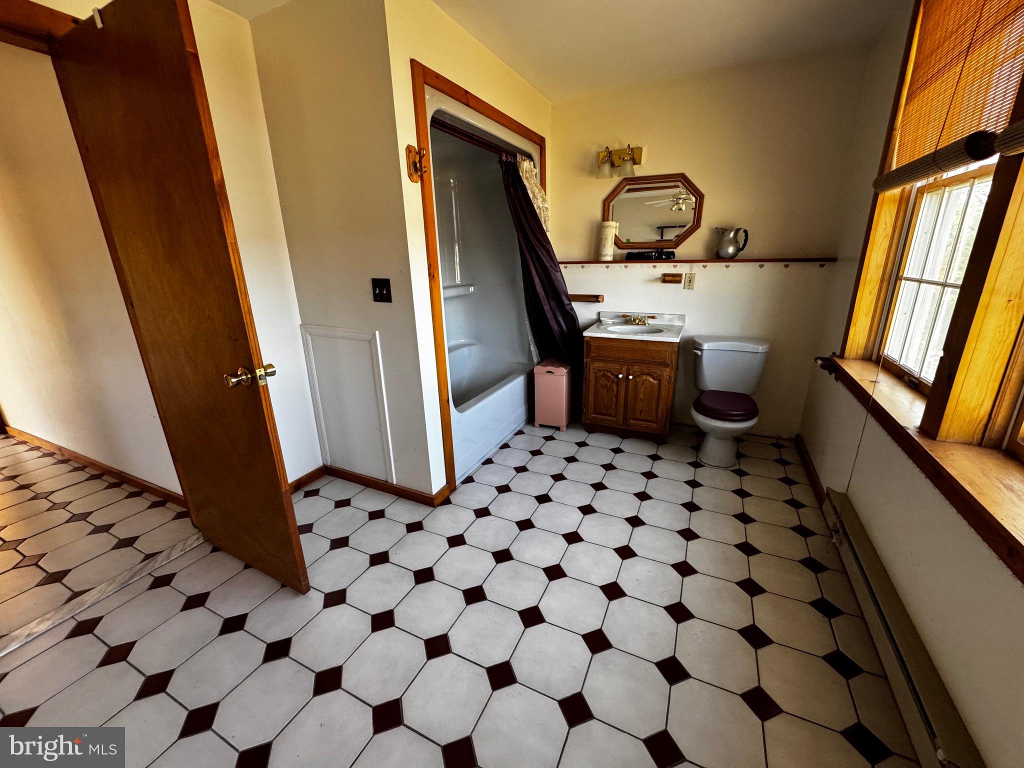 18 Province Line Road New Egypt, NJ 08533 - Photo 12 of 15 a bathroom with a sink and a mirror