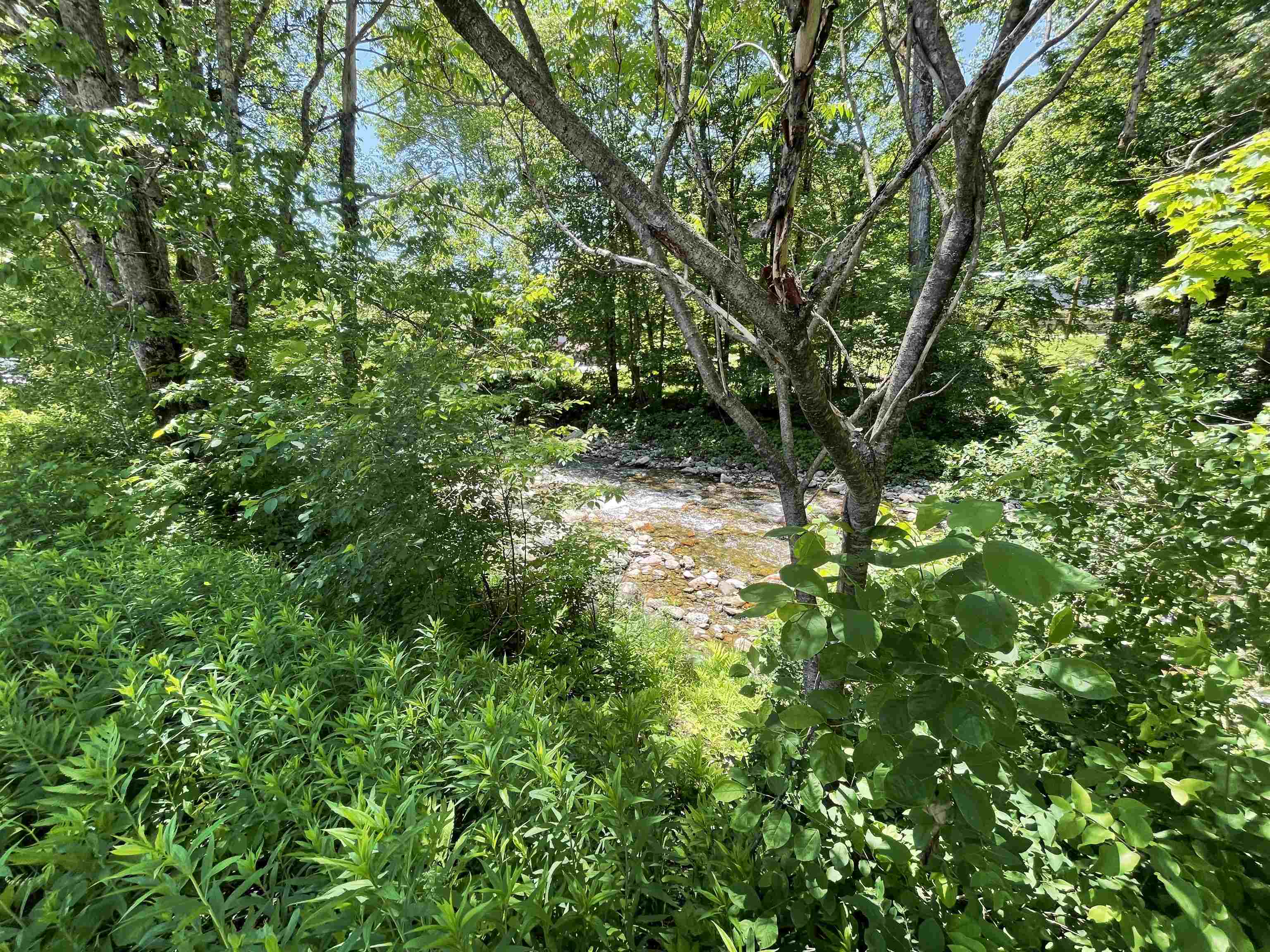 3631 Vermont Rte 100 Pittsfield, VT 05762 - Photo 18 of 25