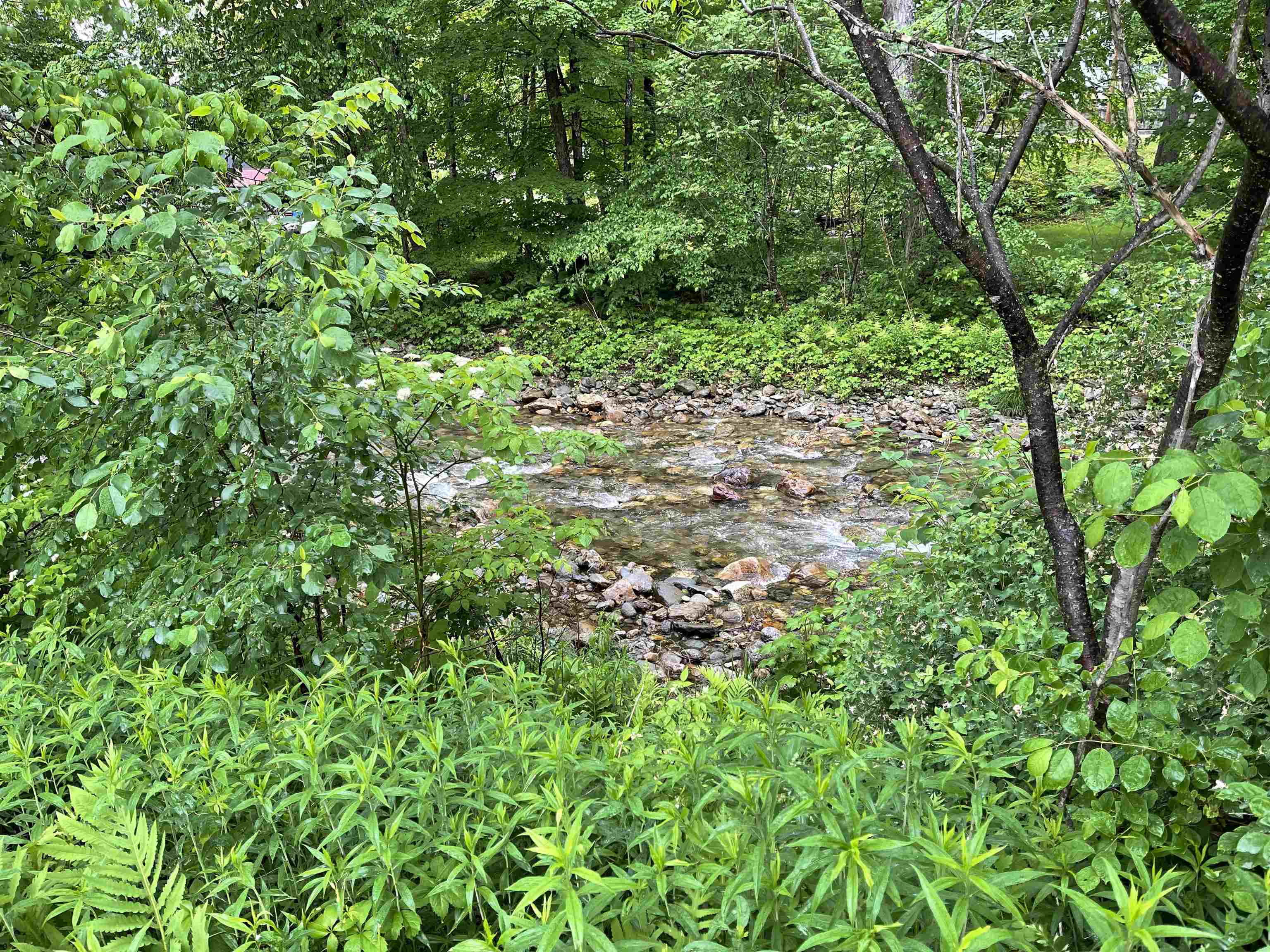 3631 Vermont Rte 100 Pittsfield, VT 05762 - Photo 25 of 25