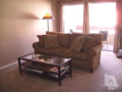 1748 Sinaloa Road, Unit 262 Simi Valley, CA 93065 - Photo 4 of 11 Additional Photo