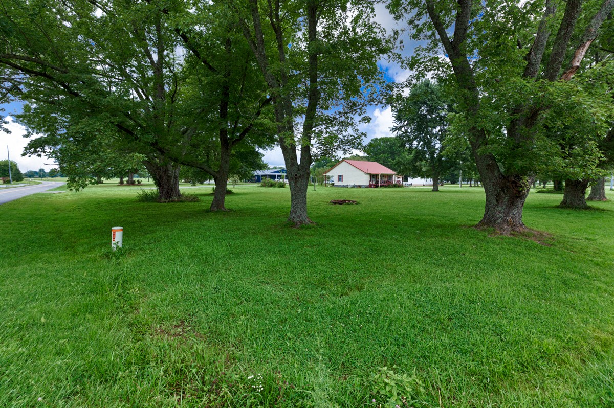 113 Elliot Road Ardmore, TN 38449 - Photo 22 of 25 a backyard of a house with lots of green space