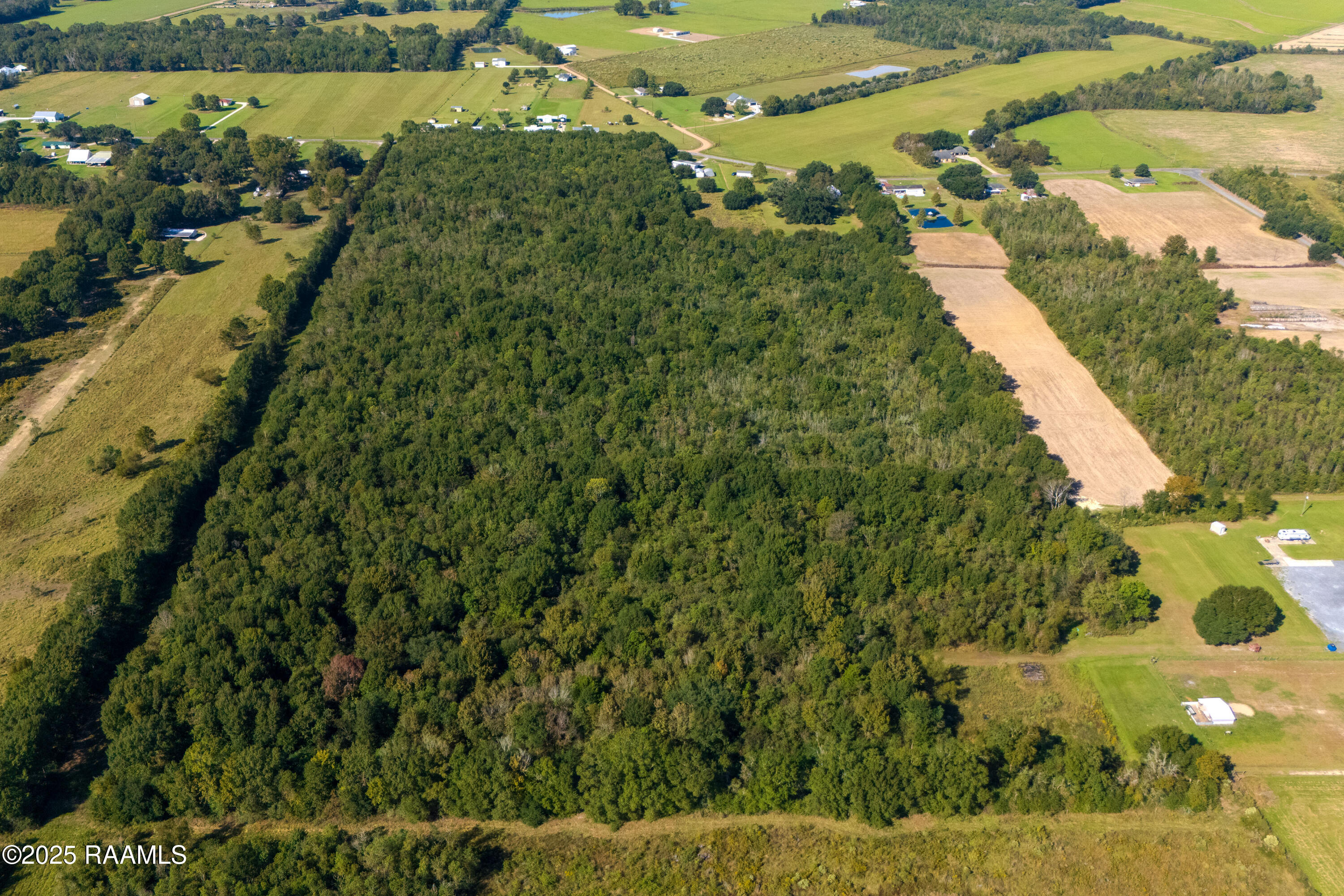 Tbd Higginbotham Highway Church Point, LA 70525 - Photo 8 of 16 DSC_0007_Layer 9