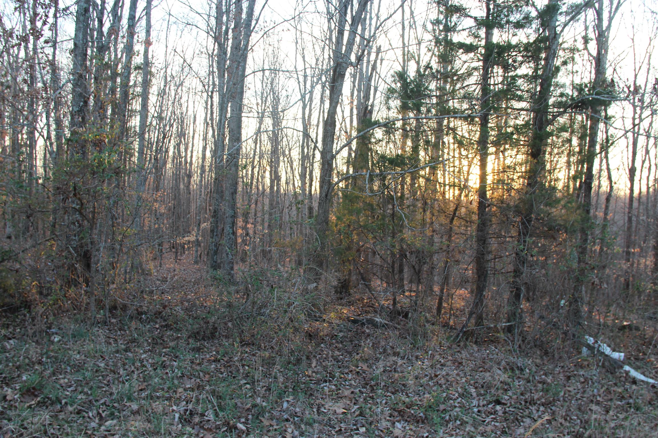 4730 Old Metal Road Palmyra, TN 37142 - Photo 2 of 5