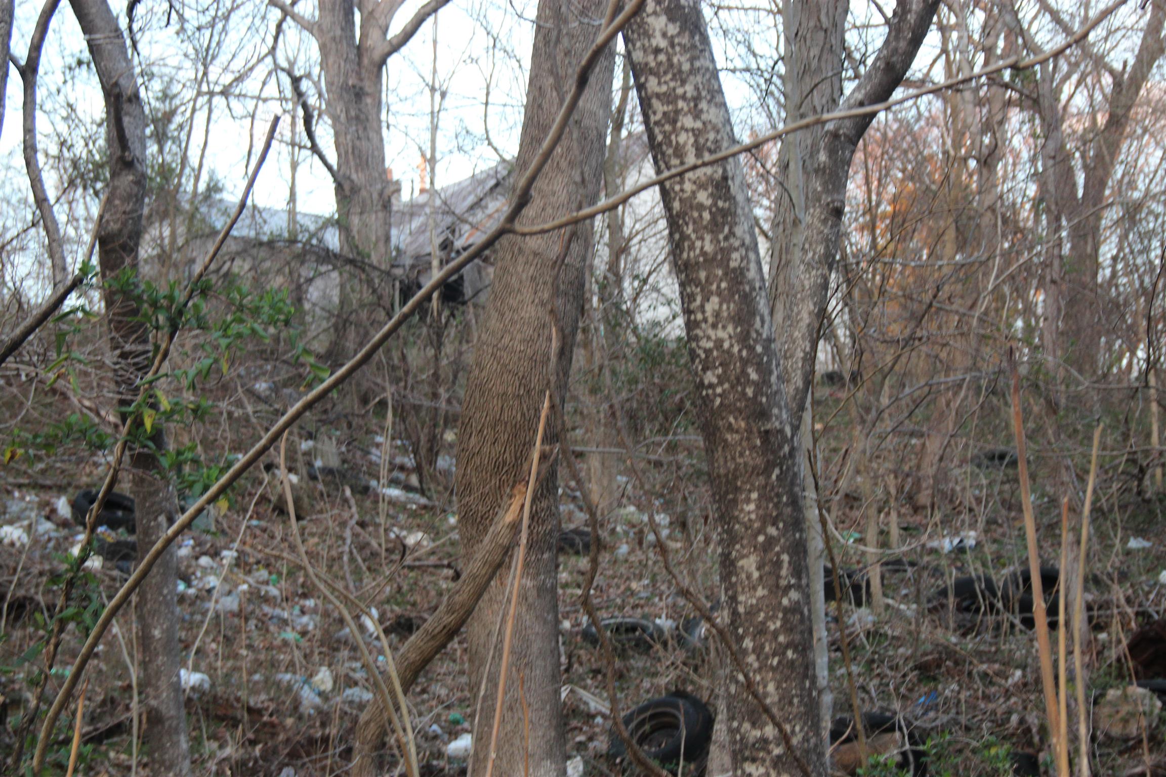 4730 Old Metal Road Palmyra, TN 37142 - Photo 4 of 5