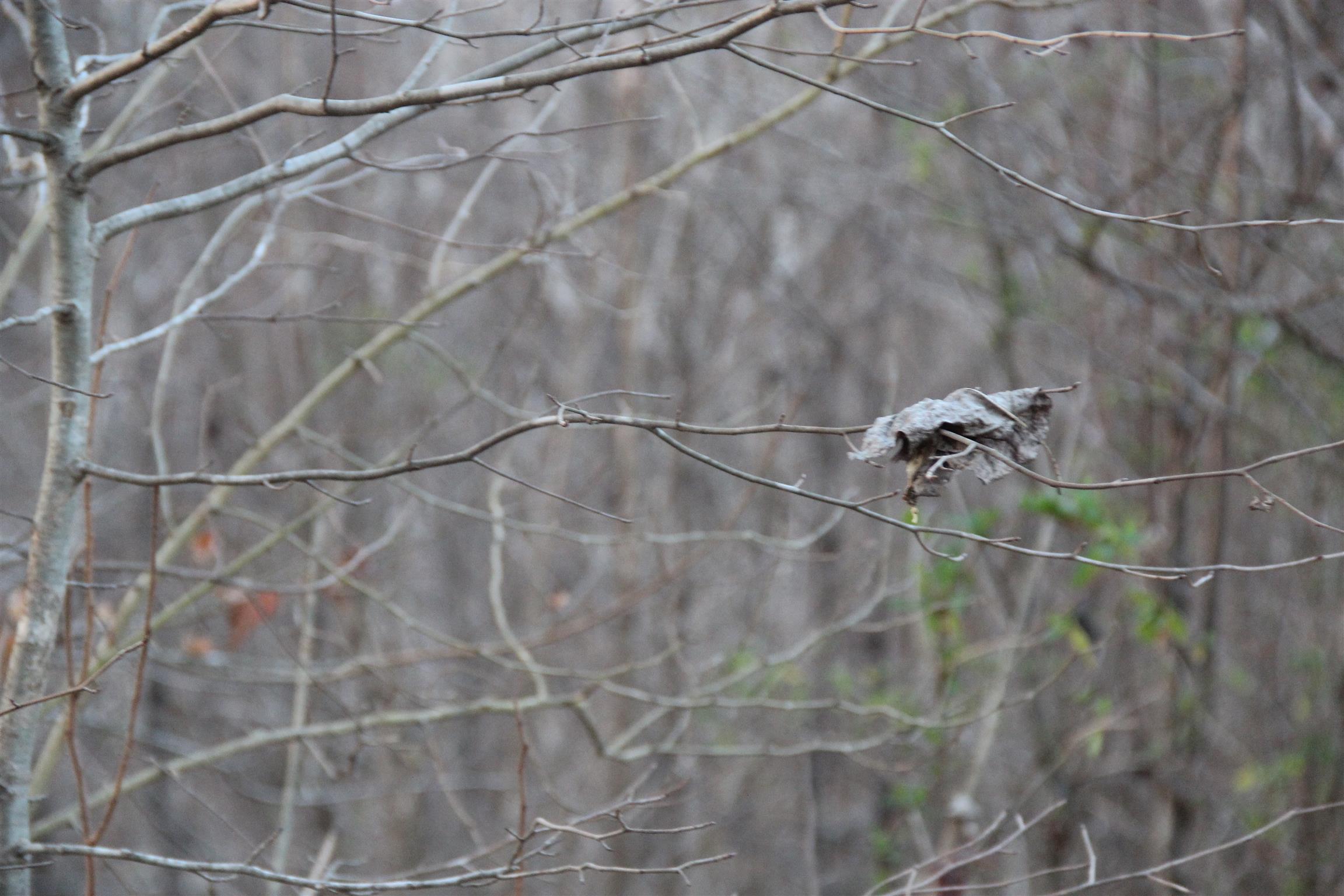 4730 Old Metal Road Palmyra, TN 37142 - Photo 5 of 5