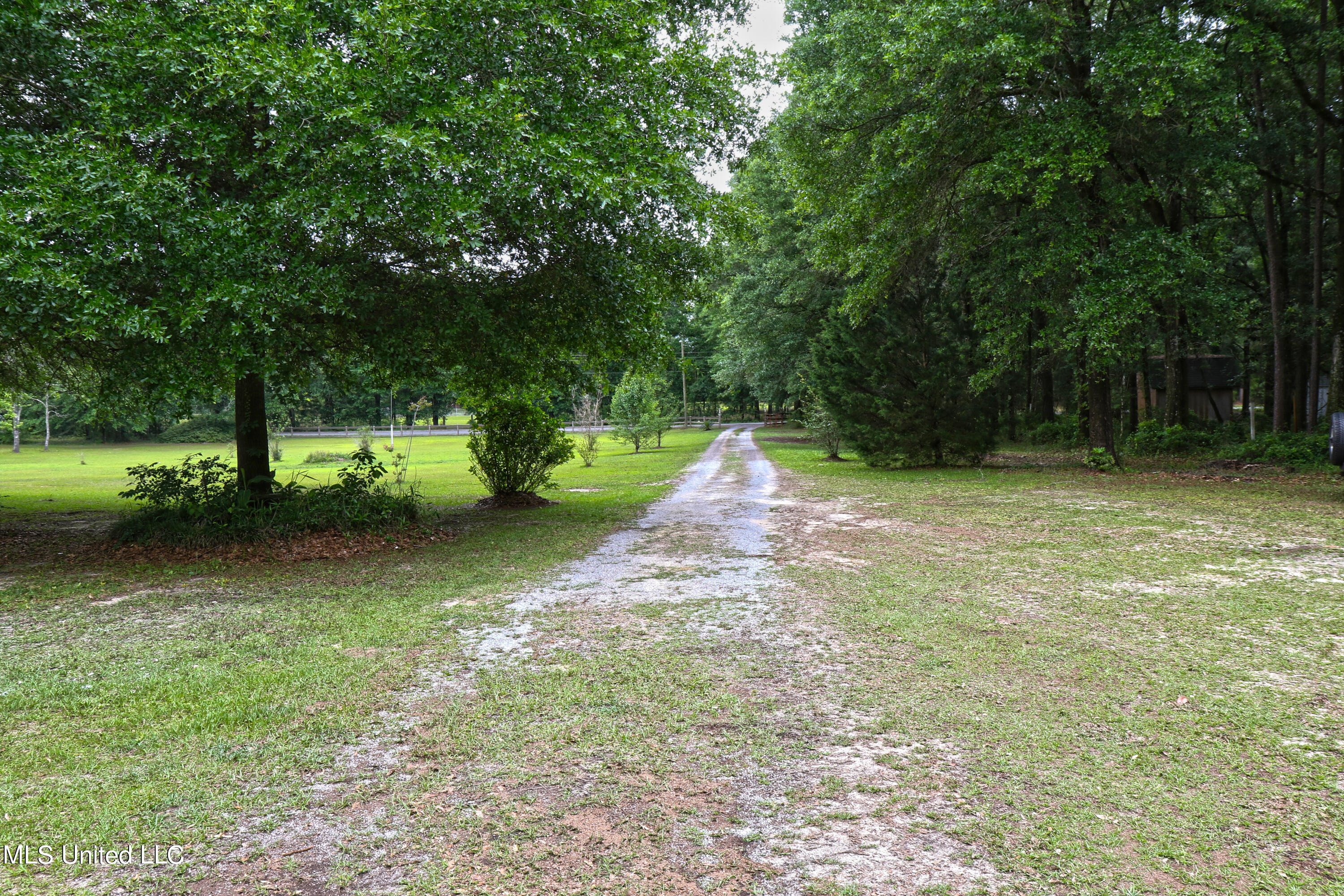 13821 Constitution Road Moss Point, MS 39562 - Photo 41 of 42 640A0382