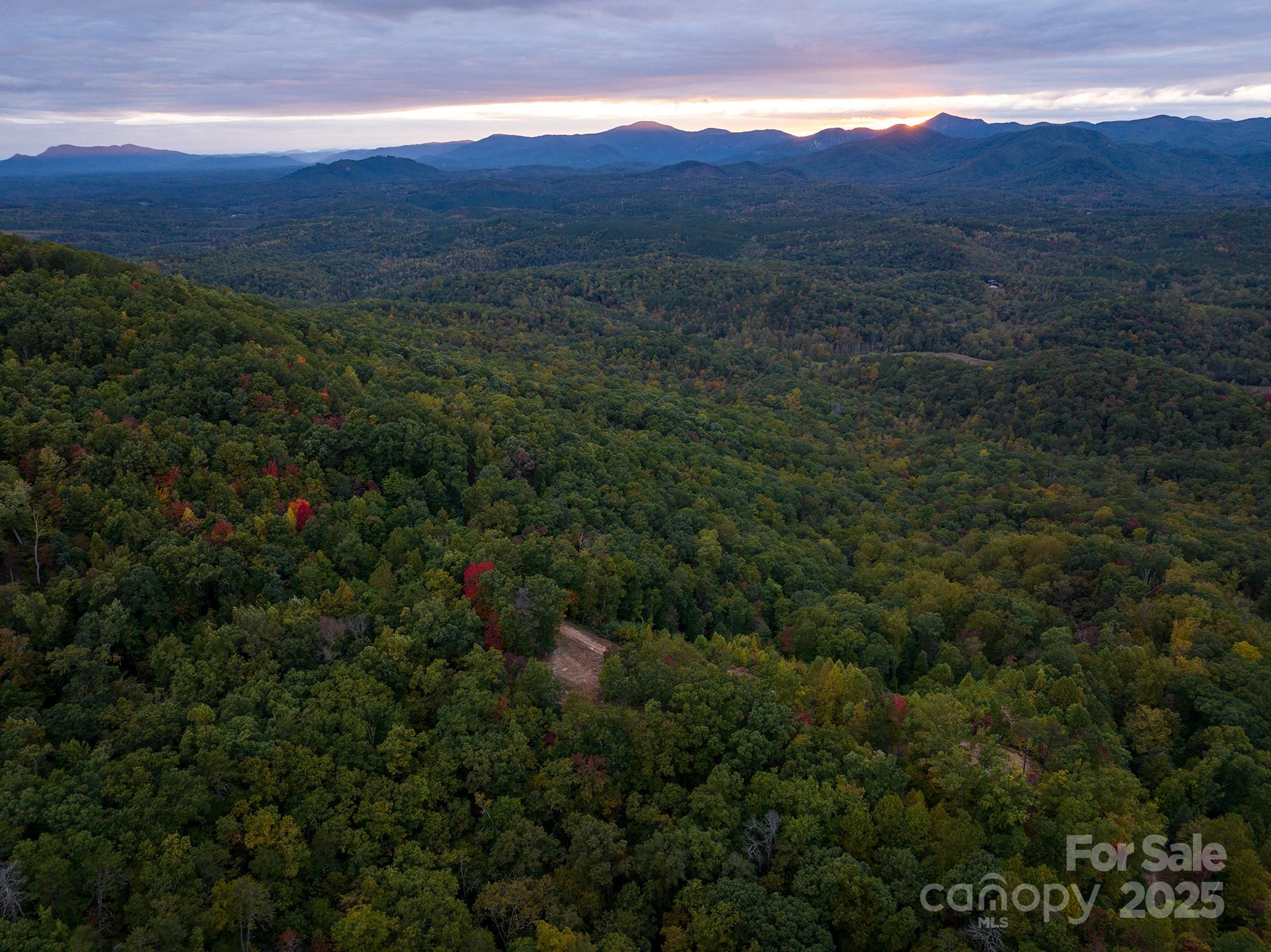 0 The Fls Road, Unit 3 Union Mills, NC 28167 - Photo 14 of 14 a view of a lush green hillside and a houses