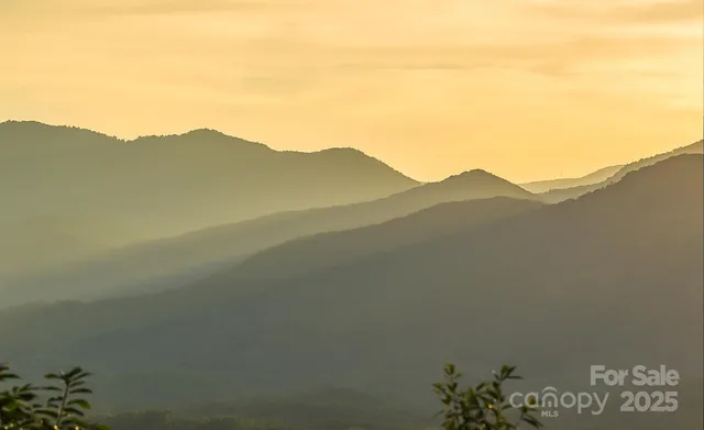 a view of a big yard